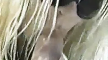 විශාල පියයුරු සහිත තෙල් සහිත දේවදූතයා ලෙක්සි ස්ලේඩ් ඇගේ කුඩා සිදුර ස්පර්ශ කරයි